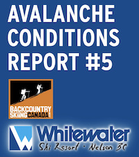 Avalanche Conditions Report #5